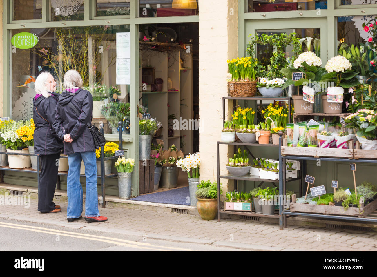 Cirencester - Oops ein Daisy-Blumenladen voller Frühlingsblumen, ideal für Muttertag, als paar Frauen suchen im Fenster in Cirencester im März Stockfoto