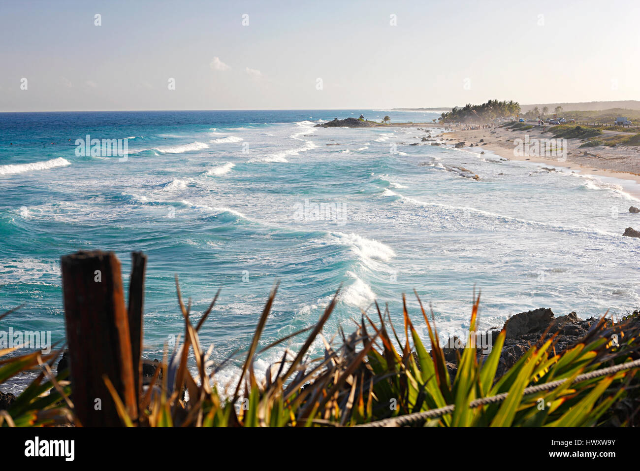 Wellen am Strand von Cozumel in Mexiko Stockfoto