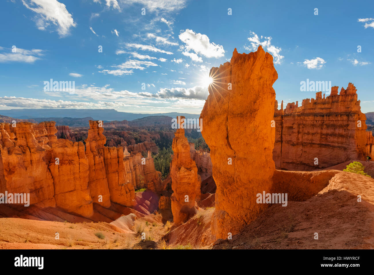 USA, Utah, Bryce-Canyon-Nationalpark, Thors Hammer und andere Hoodoos im Amphitheater bei Sonnenaufgang von Navajo Loop Trail aus gesehen Stockfoto