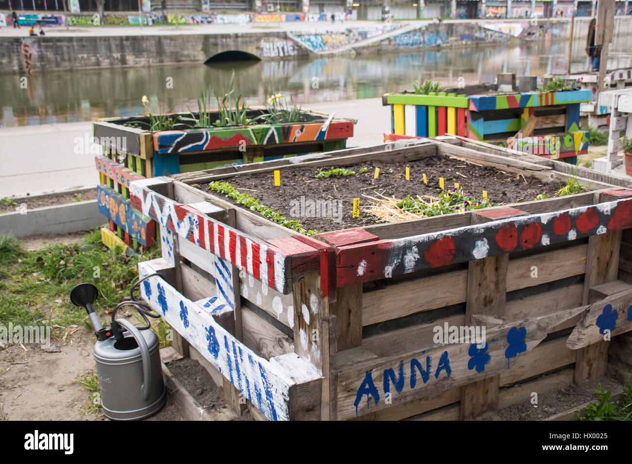 Urban gardening am Donaukanal (Donaukanal), Wien, Österreich, Europa Stockfoto