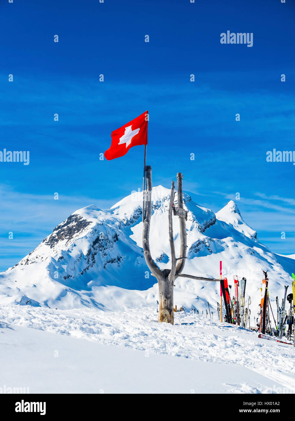 Schweiz, Kanton Bern, Grindelwald, Schweizer Flagge mit Reeti im Hintergrund Stockfoto