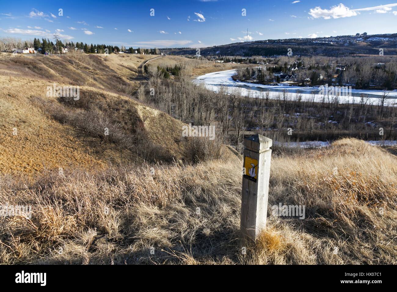 Bowmont Park natürlichen Erholungsgebiet und Rocky Mountain Foothills im Frühjahr entlang Bow River in Calgary, Alberta, Kanada Stockfoto