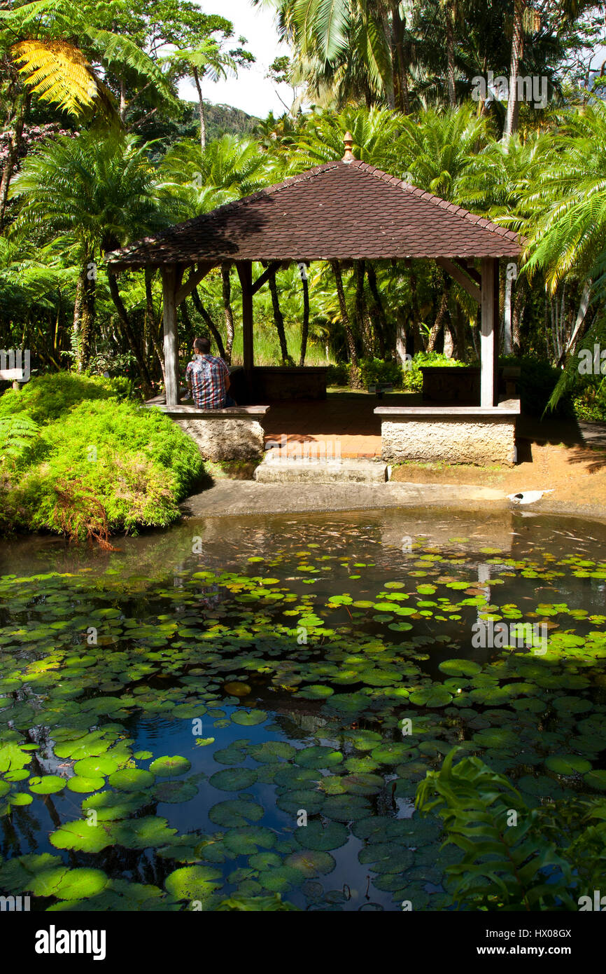 Martinique, Jardine de Balata, Forte de France, Autobahn de Balata, N3, Gartenbau Tropengarten in einer Dschungel-Umgebung, Stockfoto