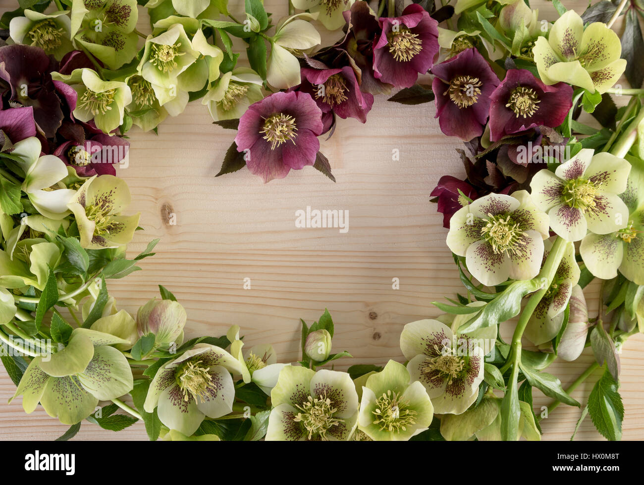 Kreative Blume Anordnung Pastellfarben auf natürlichen hölzernen Hintergrund. Ansicht von oben, Text-Raum. Stockfoto