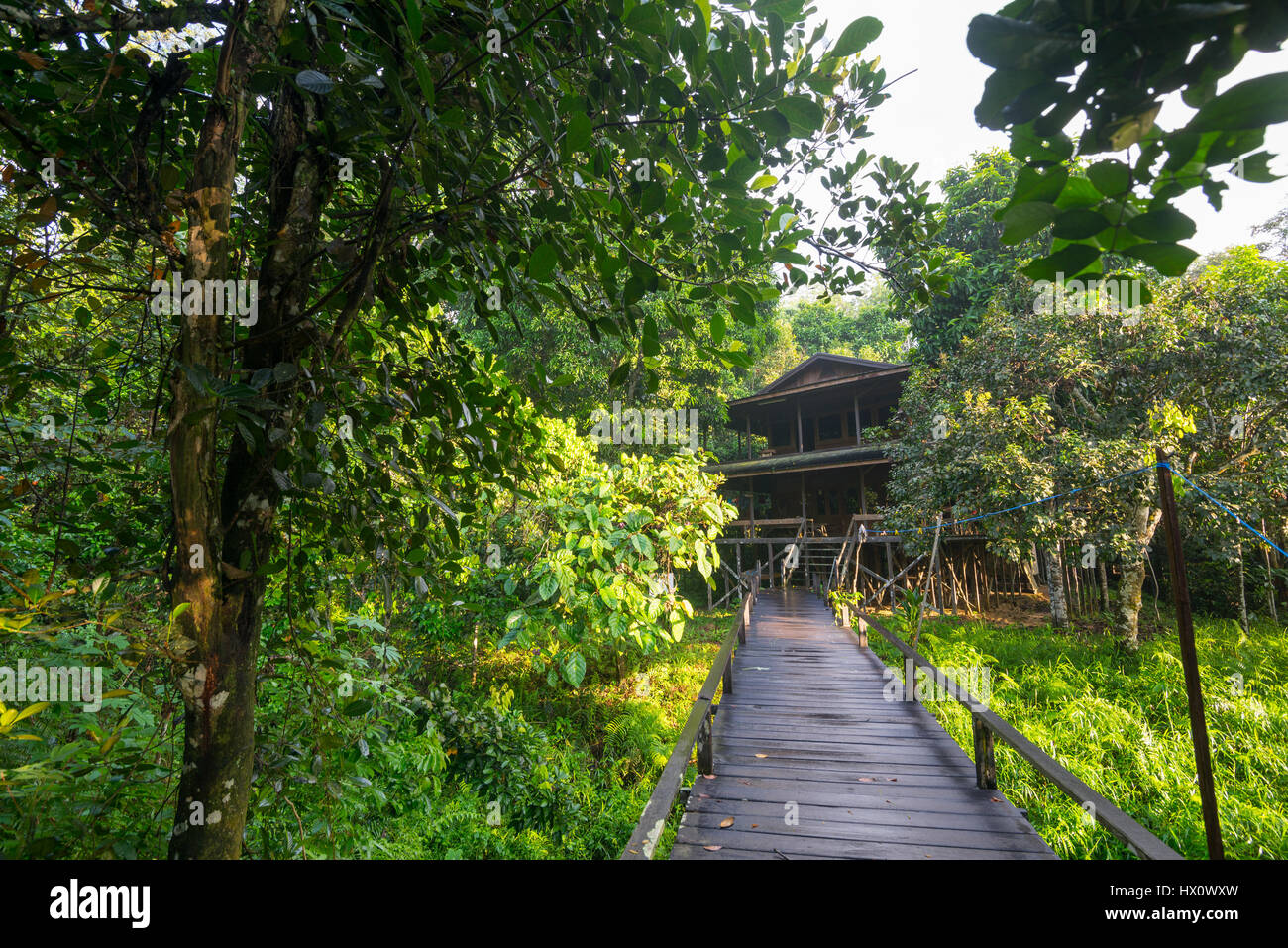 Fertighaus Orang-Utan Forschungsstation im Nationalpark Kutai, Indonesien. Stockfoto