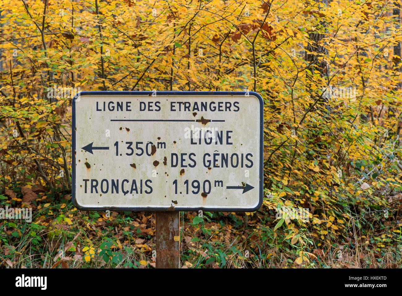 Frankreich, Allier, Tronçais Wald, Saint-Bonnet-Tronçais, Beschilderung Stockfoto