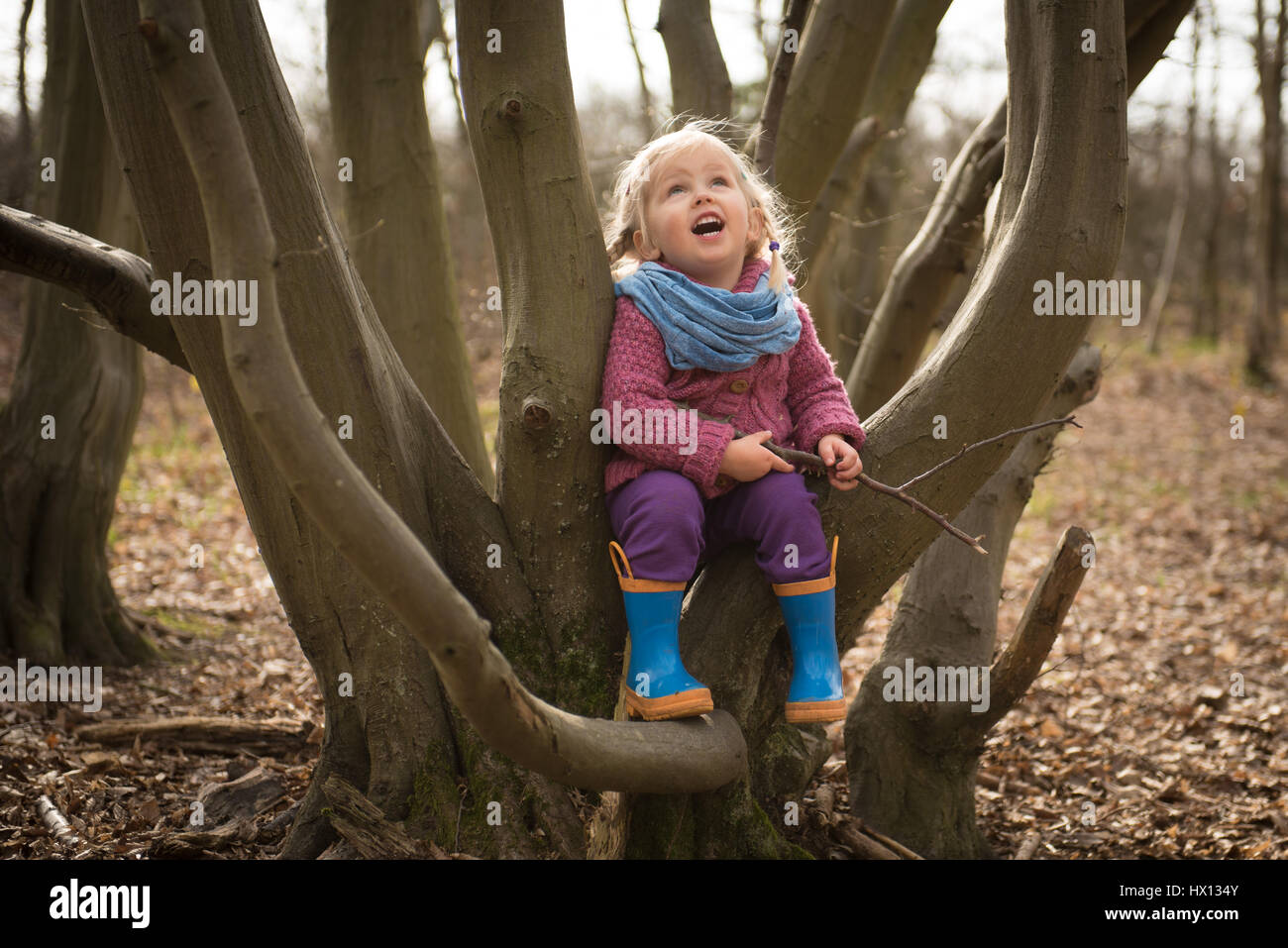 Niedlichen Kleinkind Mädchen Spaß am Baum im Wald. Stockfoto