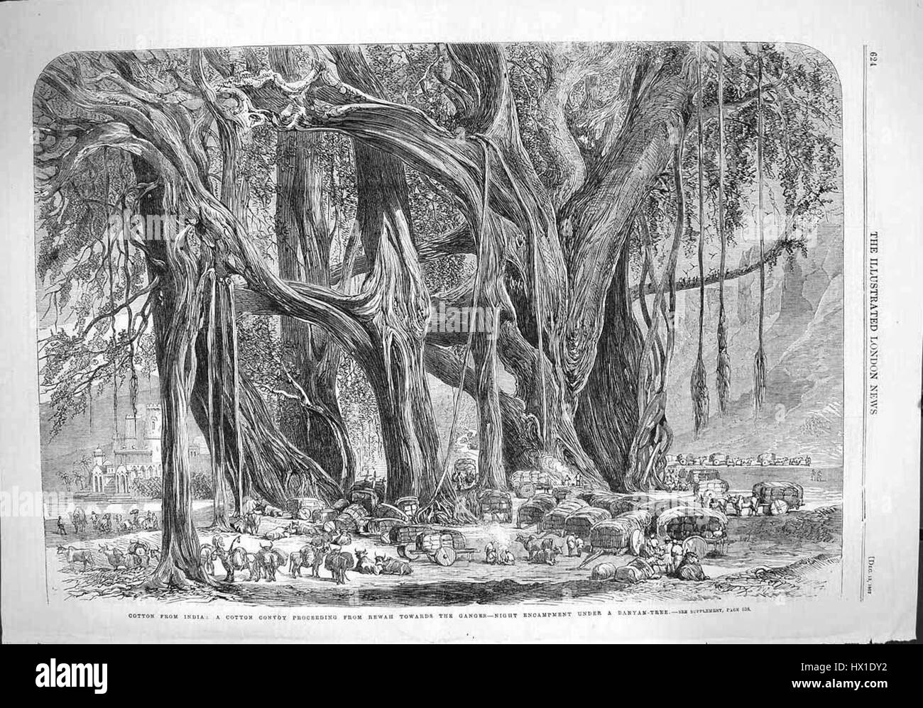 Baumwolle aus Indien bezieht sich auf die Baumwollindustrie in Indien, die seit Jahrhunderten ein wesentlicher Bestandteil der Wirtschaft und der Textilproduktion des Landes ist. Indische Baumwolle ist bekannt für ihre Qualität und historische Bedeutung im Welthandel. Stockfoto