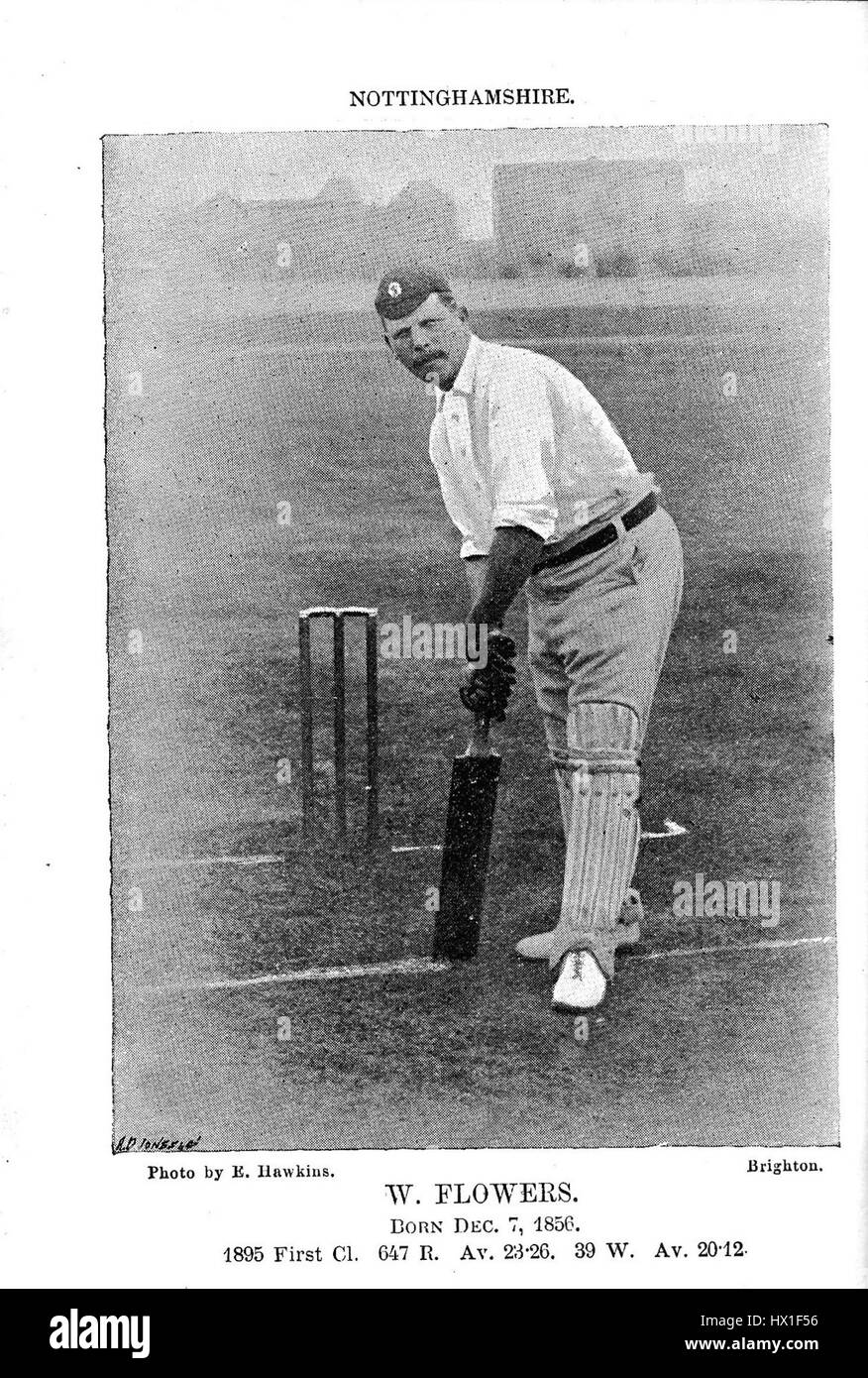 „Wilfred Flowers“ bezieht sich wahrscheinlich auf ein Kunstwerk, eine botanische Studie oder ein Design von Wilfred mit einer Sammlung von Blumen oder einem Blumenmotiv. Das Stück betont die botanische Schönheit oder erforscht die Natur in künstlerischer Form. Stockfoto