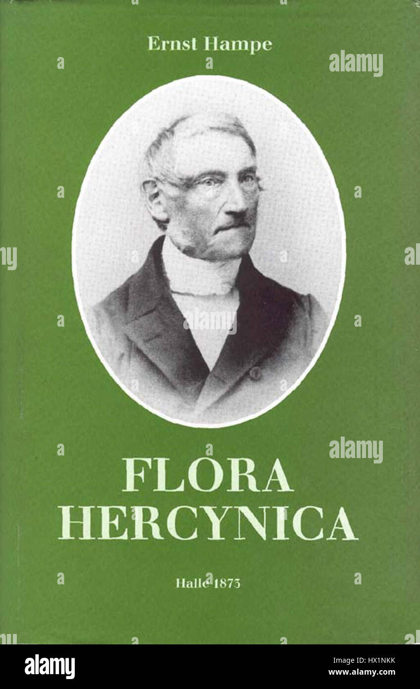 „Flora Hercynica“ von Ernst Hampe ist eine botanische Illustration, die sich mit der Flora des Herzynischen Waldes befasst. Das Kunstwerk zeigt die detaillierte Darstellung verschiedener Pflanzenarten, die in dieser Region beheimatet sind, und hebt den wissenschaftlichen und künstlerischen Wert der botanischen Illustrationen im 19. Jahrhundert hervor. Stockfoto