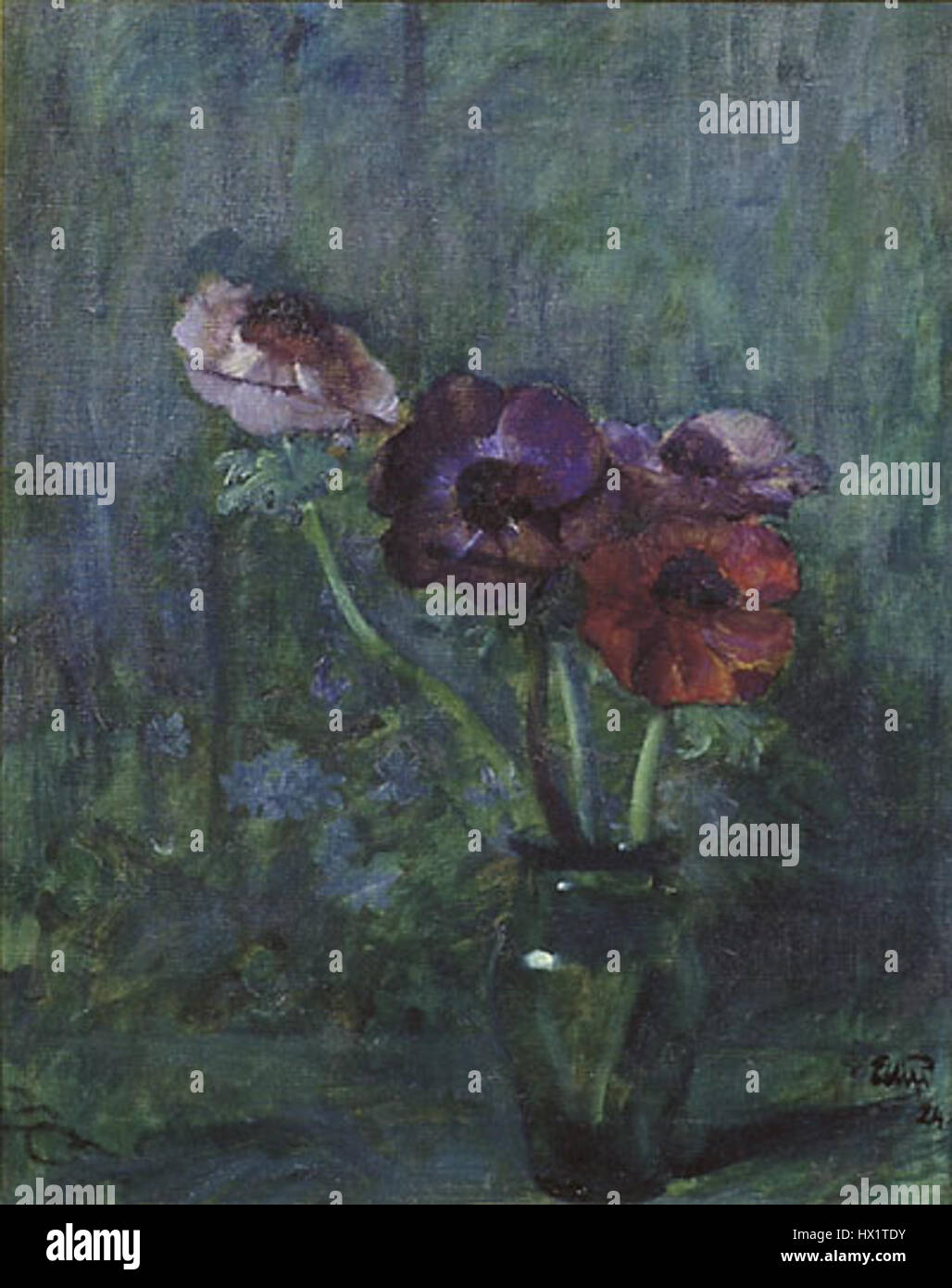 Eilif Peterssens „Anemoner“ (Anemonen) aus dem Jahr 1924 zeigt eine delikate Untersuchung der blühenden Pflanze. Bekannt für seine Liebe zum Detail, betont Peterssens Werk die Schönheit der Natur durch realistische botanische Kunst. Stockfoto