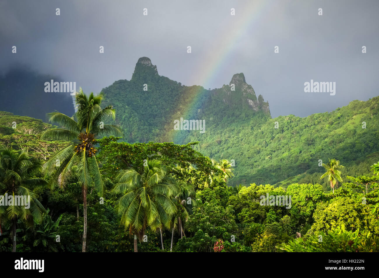 Regenbogen auf Moorea Dschungel und Berge Landschaft der Insel. Französisch-Polynesien Stockfoto