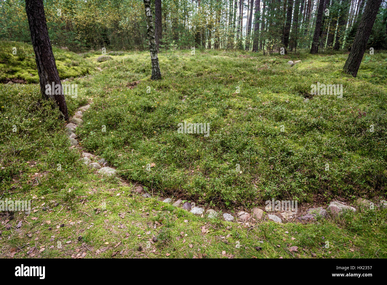 Antike Steinkreise Friedhof archäologische Stätte, in der Nähe von Lesno Dorf, Chojnice County auf Kaschubei Region Westpommern in Polen Stockfoto