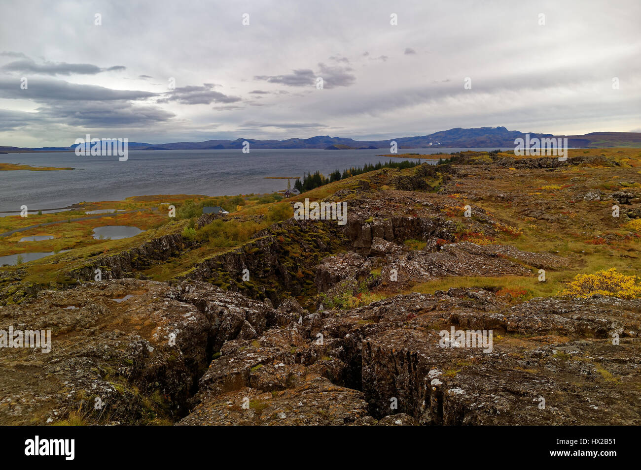 Herbst in Thingvellir Stockfoto