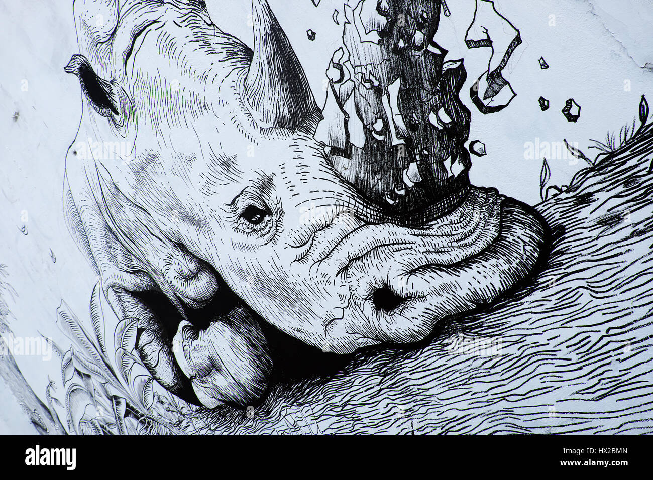 Ho-Chi-Minh-Stadt, Vietnam, Propaganda-Kampagne auf Vietnamesisch verwenden Sie keine Rhino Horn von Graffiti-Kunst, Rhinoceros Malerei, Nachricht, dass Menschen Tiere schützen Stockfoto