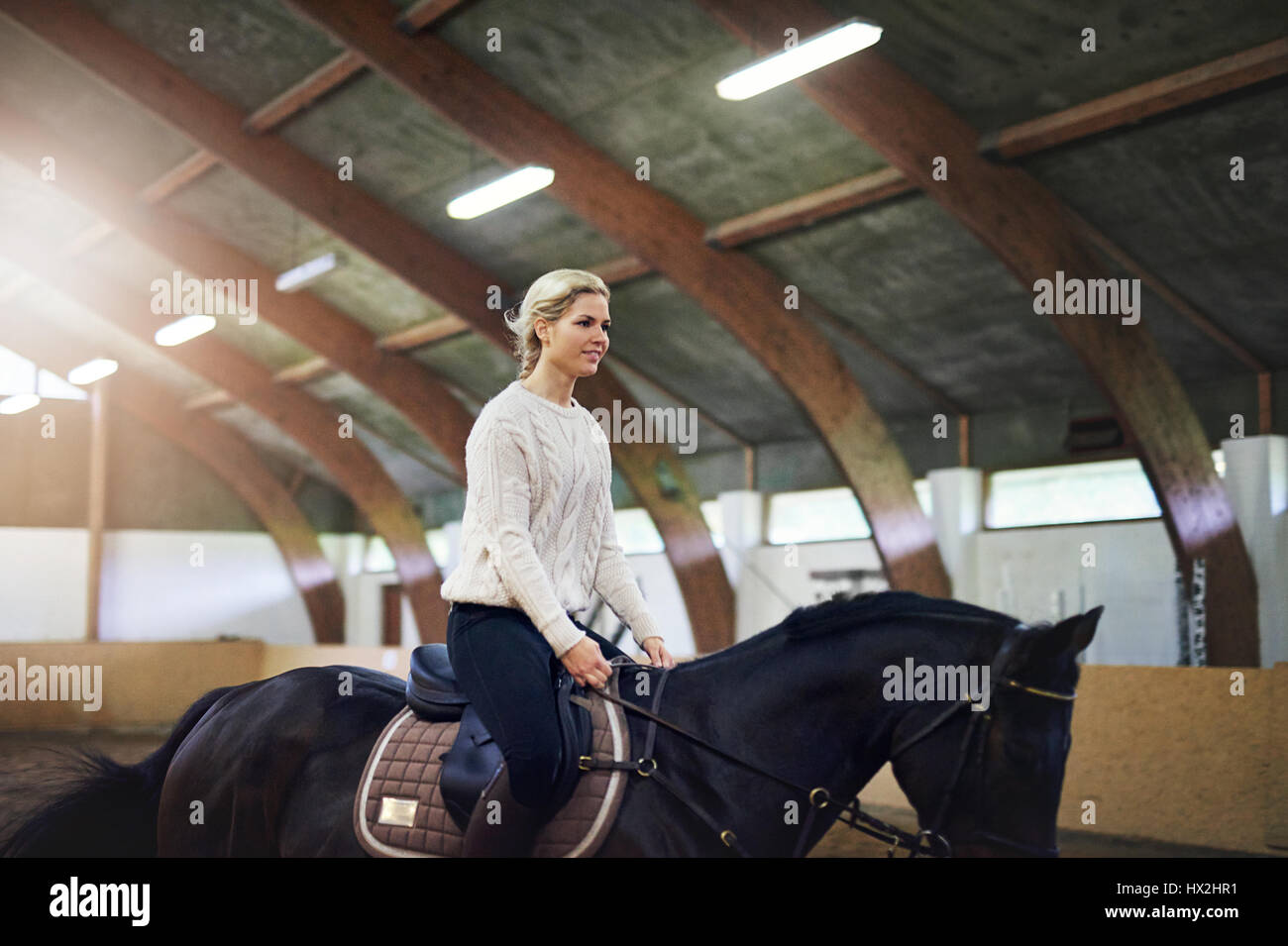 Blonde Frau Trab auf dunkle Pferd auf Koppel. Stockfoto