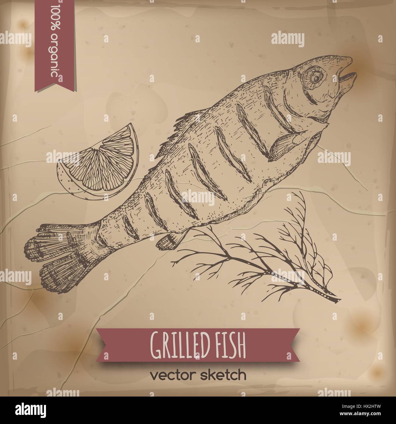 Vintage gegrillter Fisch Vorlage Stock Vektor