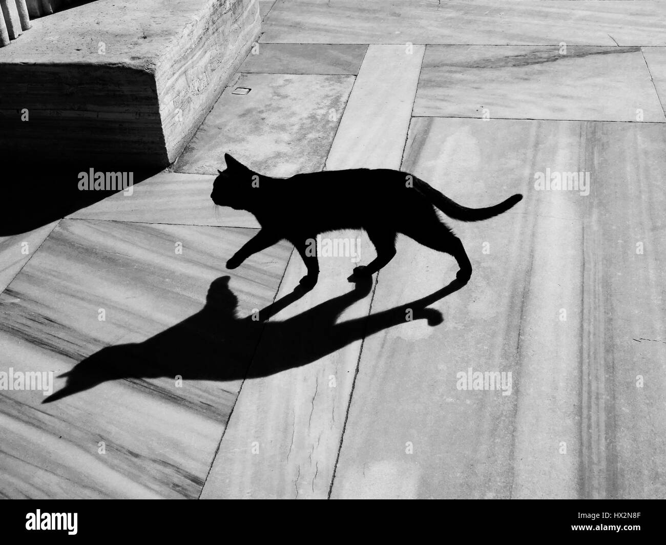 Schwarze Katze und Schatten auf EINEM Marmorboden Stockfoto