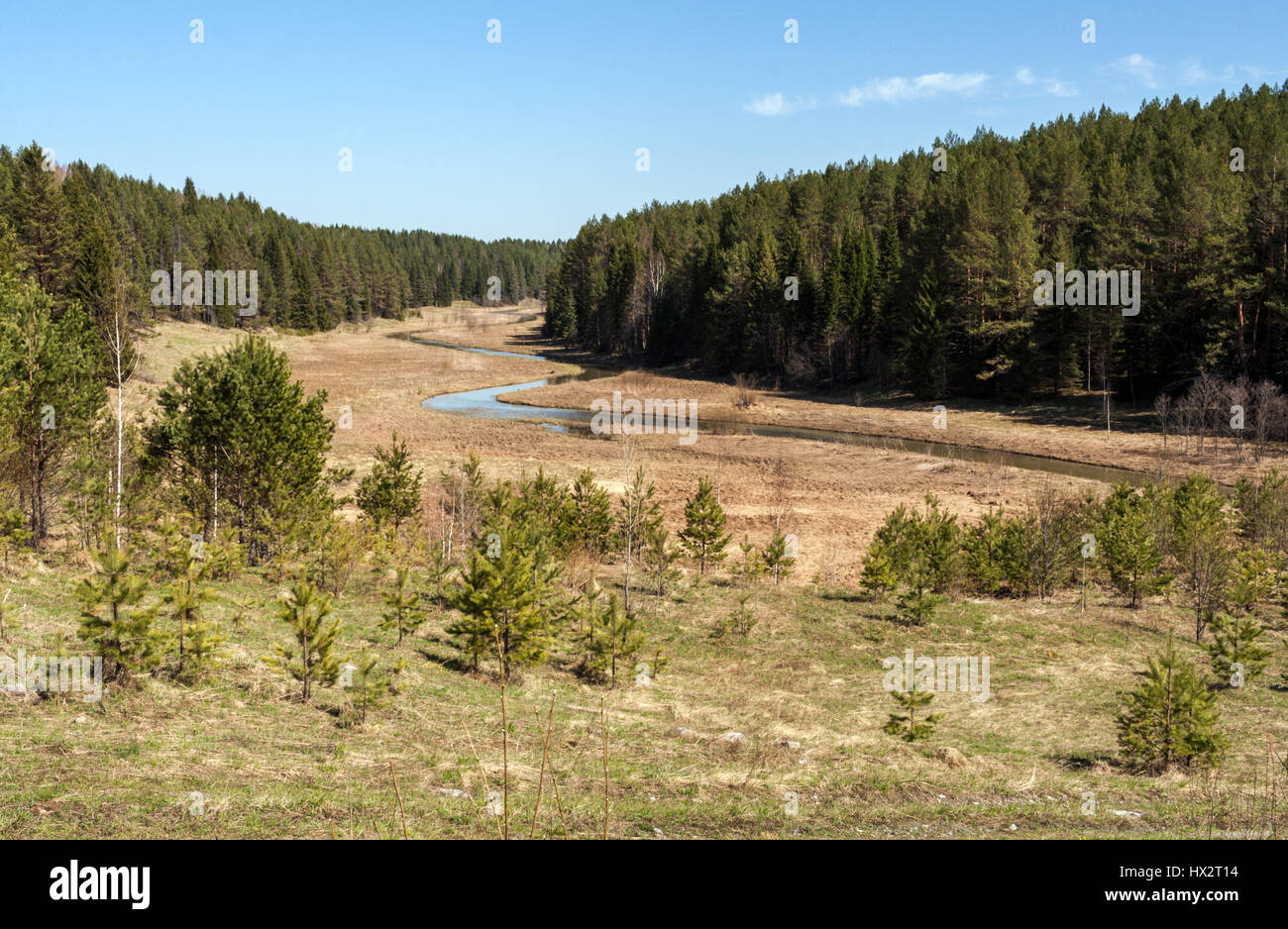 Wald und Wald sich windender Fluss im zeitigen Frühjahr. Auf dem Foto - Fluss Shaytanka, Russland, Ural Swerdlowsk. Stockfoto