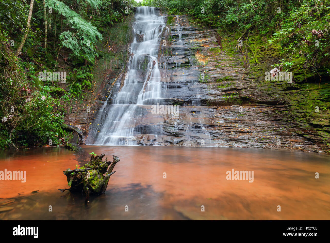 Kaskaden, schöner Wasserfall in einem Regenwald. Bolivien. Langzeitbelichtung. Stock Foto Stockfoto