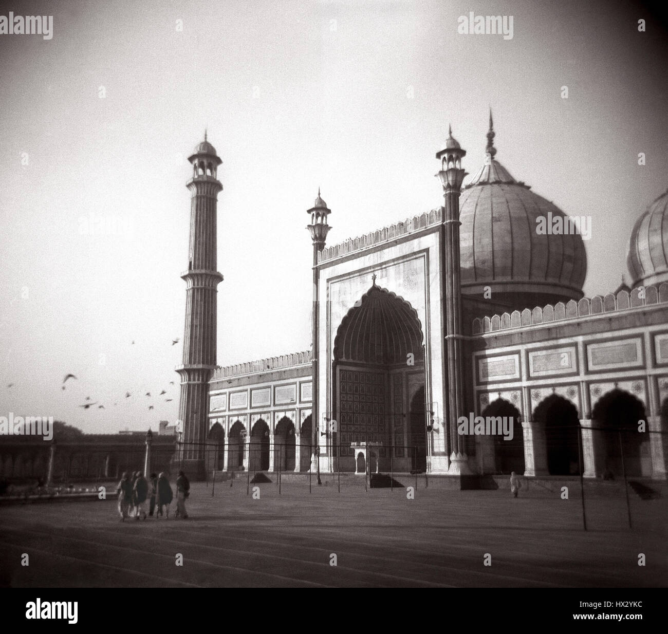 Außen die Jami Masjid-Moschee. Neu-Delhi, Indien. Stockfoto