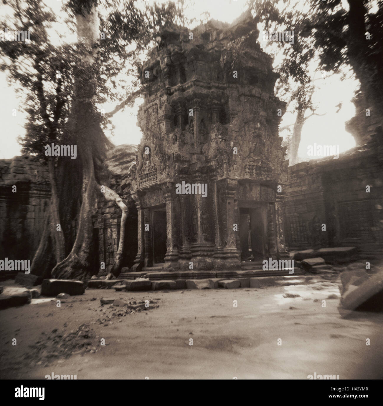 Prasat Ta Prohm Tempel Angkor Wat. Kambodscha Stockfoto