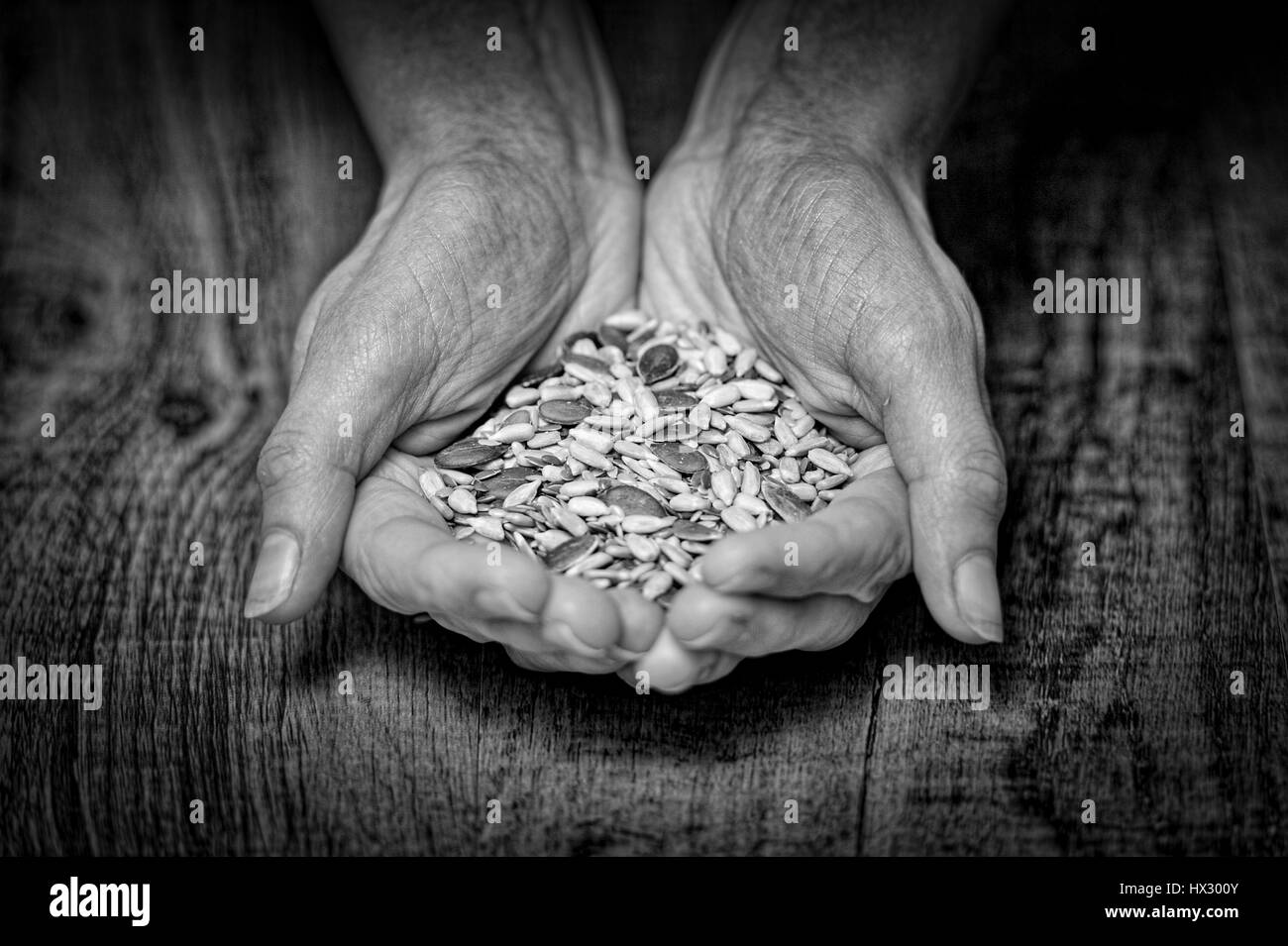 Handvoll Samen und Nüssen Stockfoto