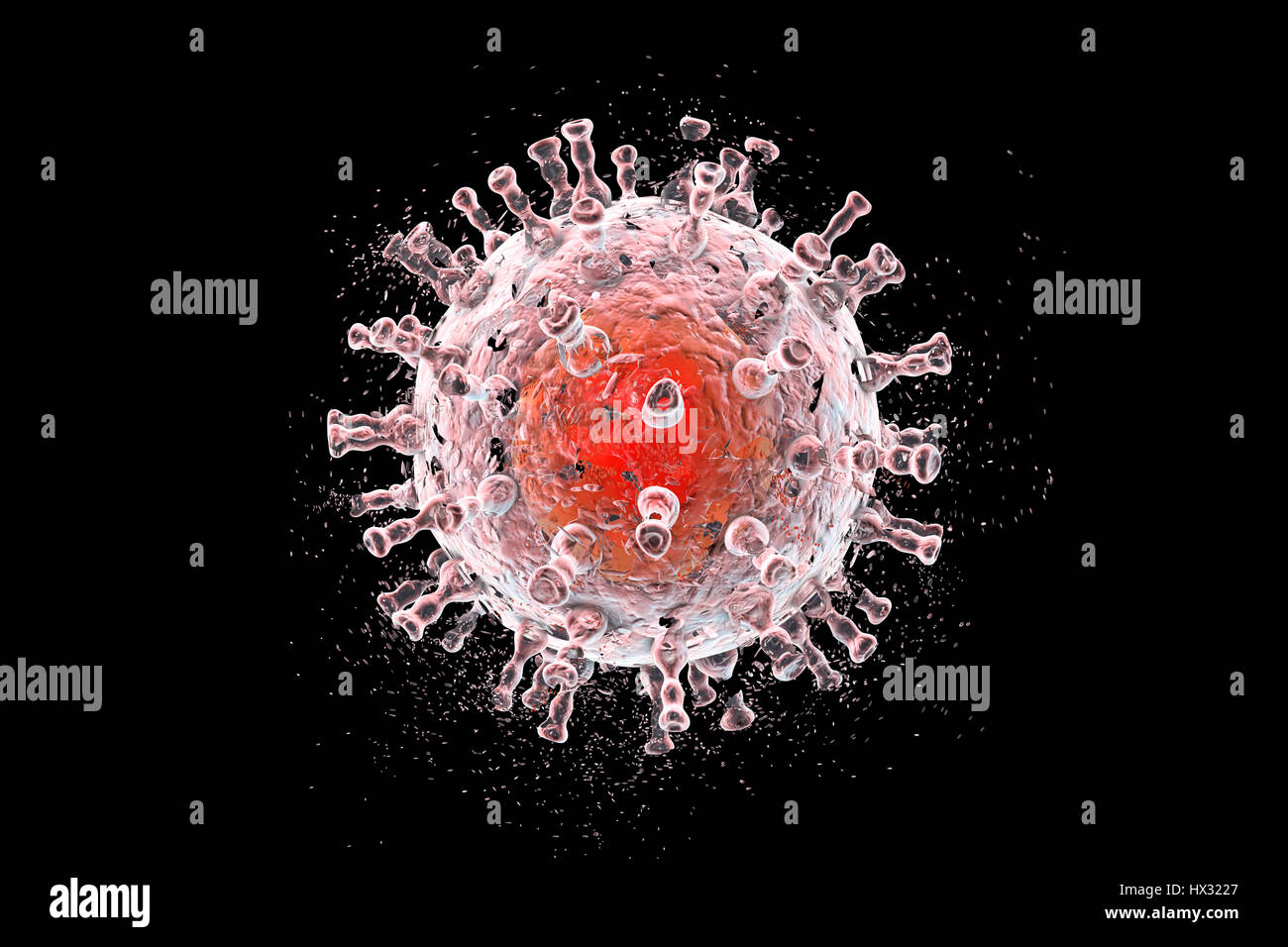 Zerstörung der japanische-Enzephalitis-Virus (JEV), Computer-Abbildung. Konzeptbild JEV-Infektion, Behandlung und Prävention. JEV ist eine RNA (Ribonukleinsäure)-Virus aus der Familie der Flaviviridae. Es wird von Culex SP. Mücke übertragen und verursacht Enzephalitis (Entzündung des Gehirns). Stockfoto
