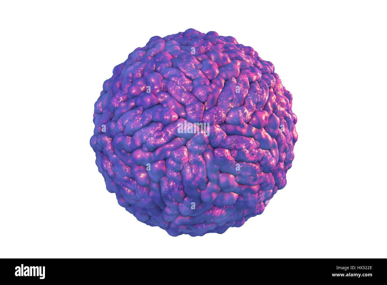 Pegivirus, früher bekannt als Hepatitis G-Virus, Computer Bild. Eine RNA (Ribonukleinsäure) Virus aus der Familie Flaviviridae verursacht Hepatitis. Stockfoto