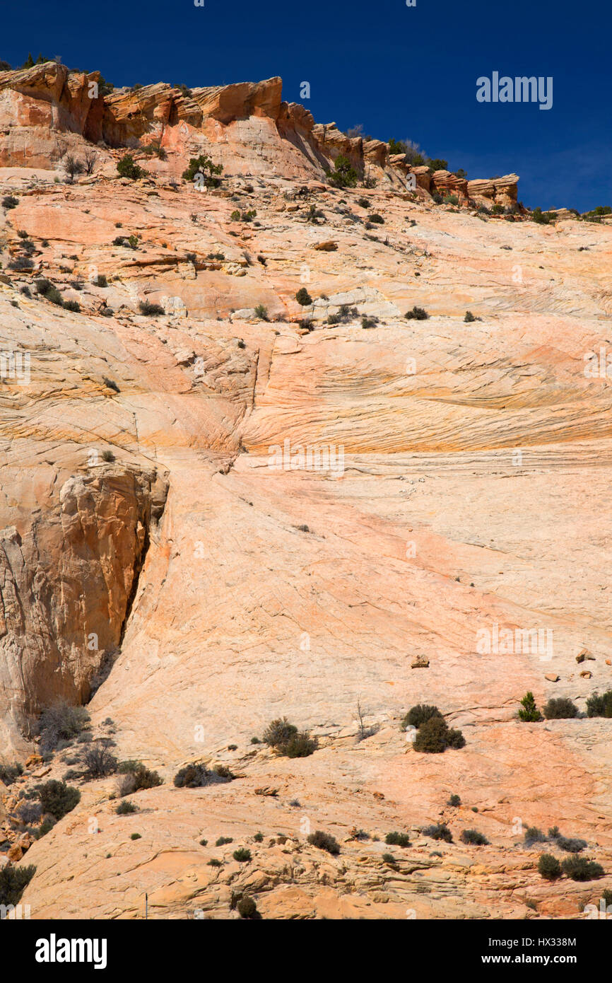 Sandstein Felsen, Highway 12 National Scenic Byway, Grand Staircase - Escalante National Monument, Utah Stockfoto