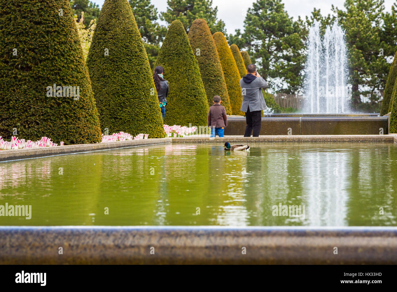 Mama, Papa und ihr Sohn im park Stockfoto