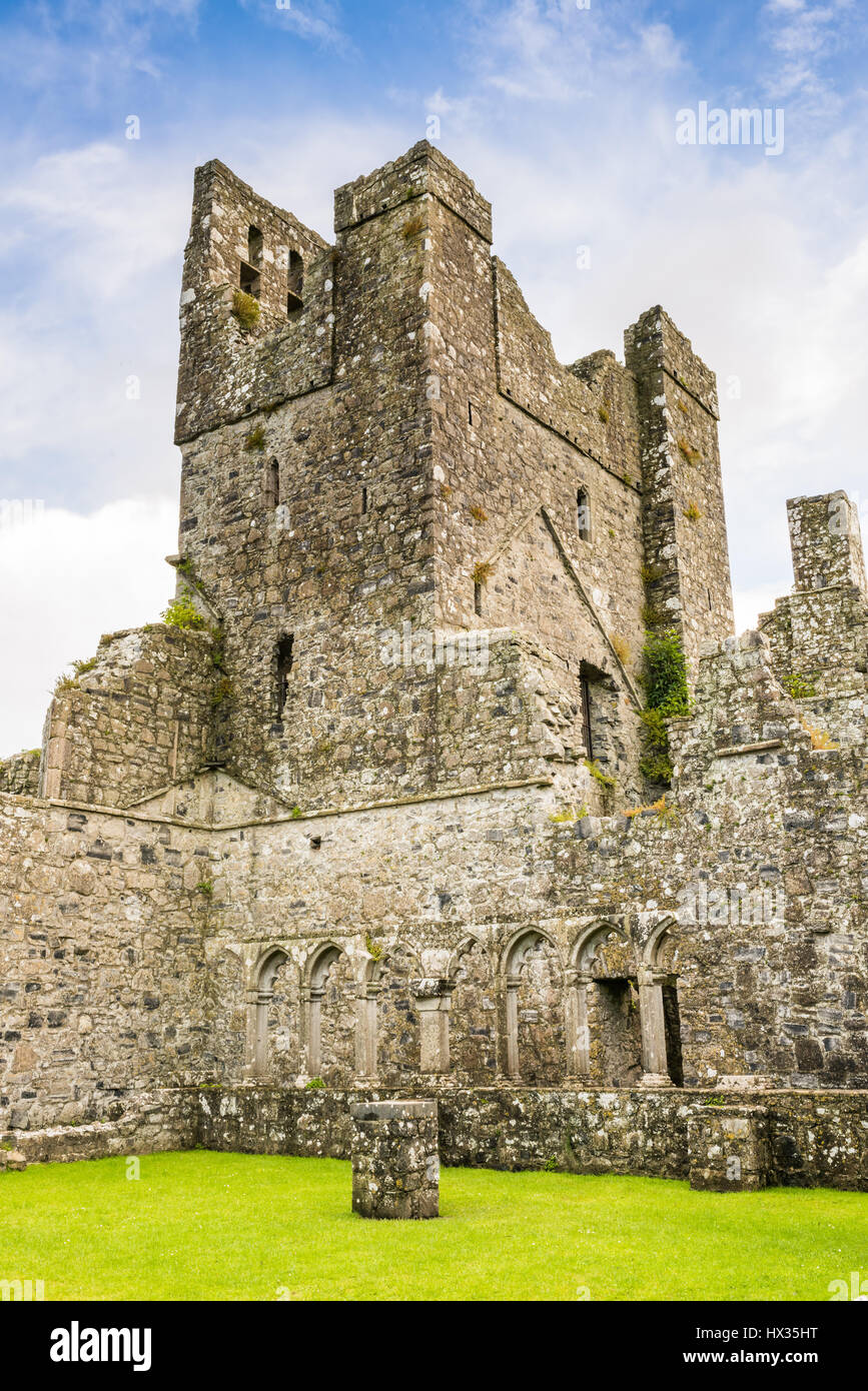 Klösterliche Ruinen von Fore Abbey im County Westmeath, Irland Stockfoto