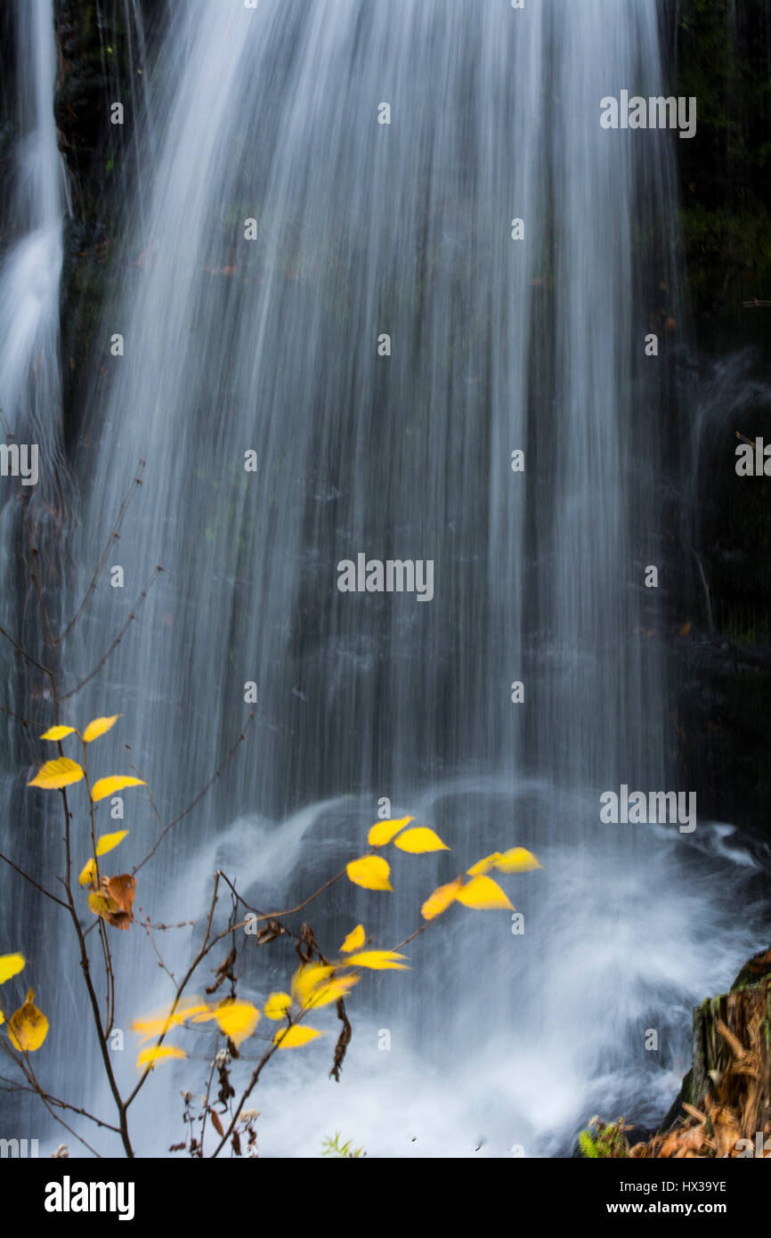 Bridal Falls Stockfoto