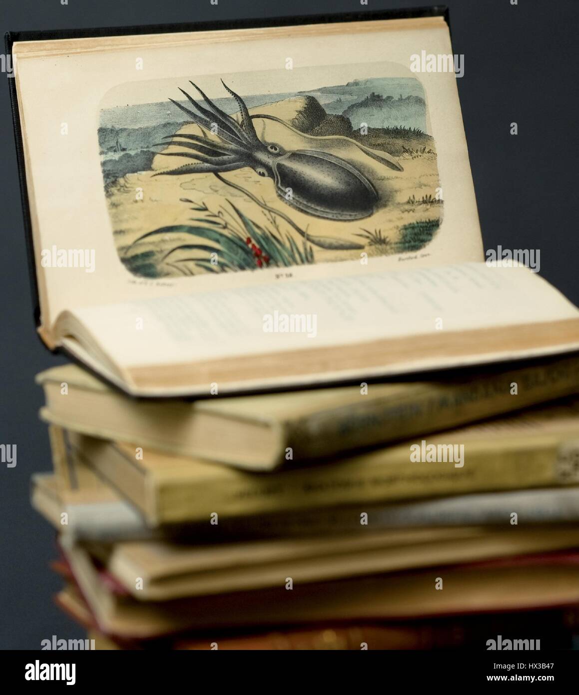Einen Stapel Bücher, das obere Buch geöffnet, um eine Zeichnung von einem Tintenfisch ruht auf einem Strand von Materia Medica Animalia anzuzeigen durch Peter P. Good (ca, 1853. 1789-1875). Mit freundlicher Genehmigung National Library of Medicine. Stockfoto