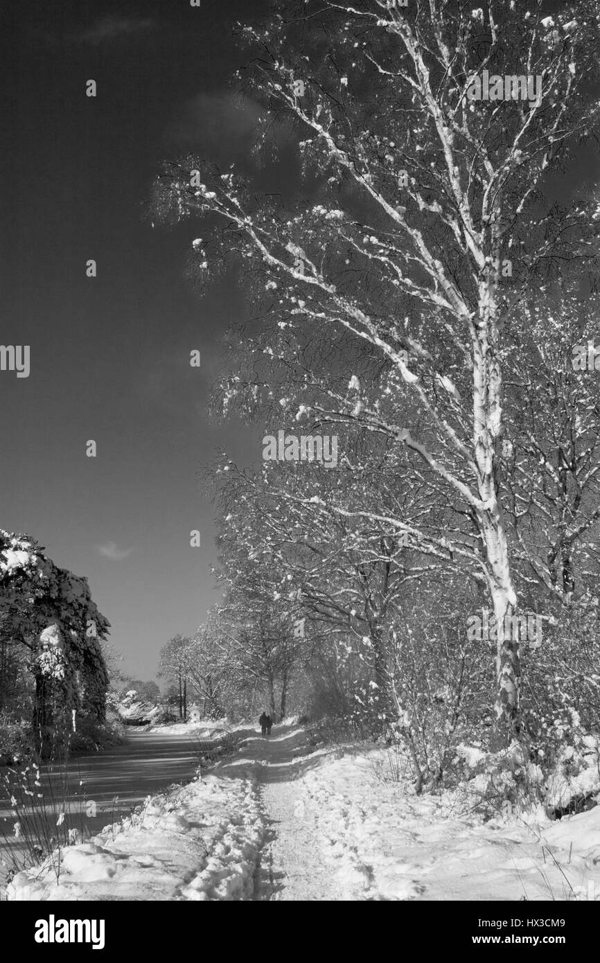 Basingstoke Canal eingefroren und im Schnee Fleet, Hampshire. Stockfoto