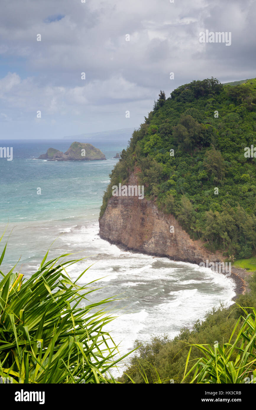 Blick auf die Nord Küste von Big Island, Hawaii, USA, im Pololu Valley. Stockfoto