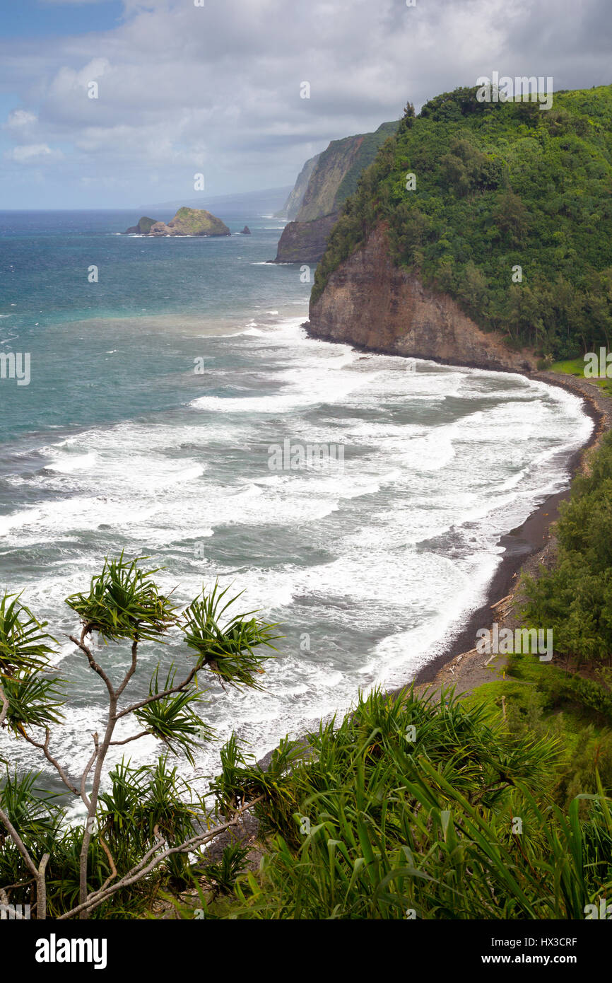 Blick auf die Nord Küste von Big Island, Hawaii, USA, im Pololu Valley. Stockfoto