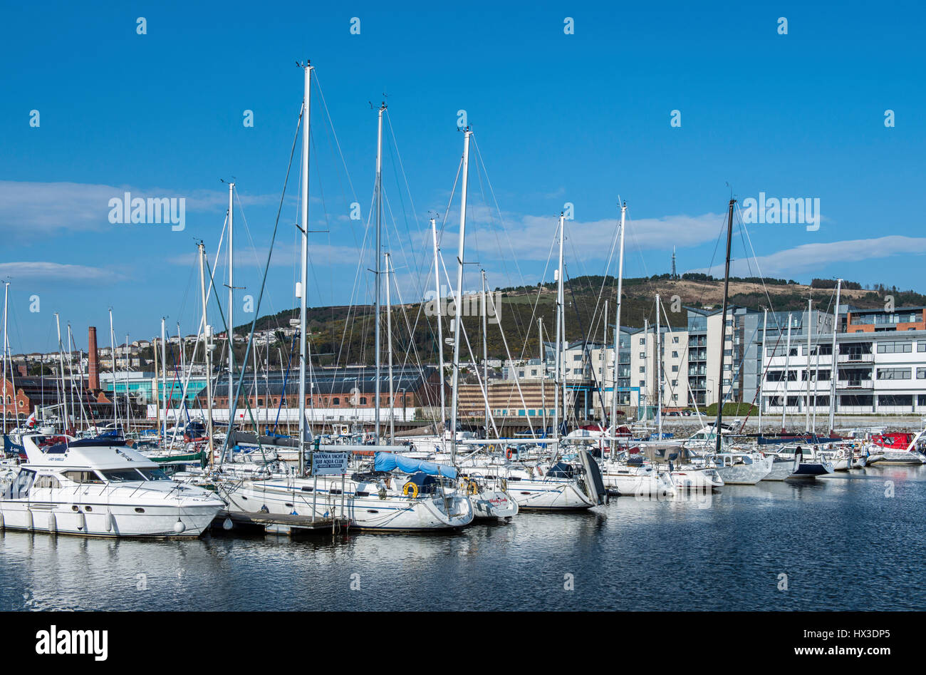 Die Swansea Marina an der Südküste von Wales, vertäut voller Yachten, Boote und einige Fischerboote. Stockfoto