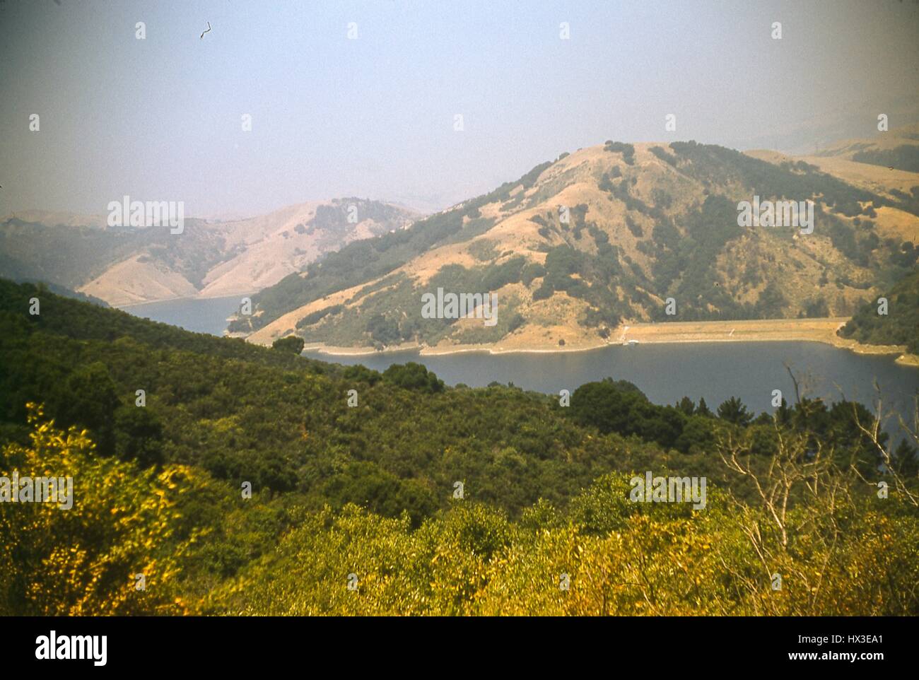 Die Landschaft rund um den Stausee San Leandro enthält trocken, semi-karge Gelände und grün, dicht bewaldete Gebiete, Alameda County, Kalifornien, 1955. Stockfoto