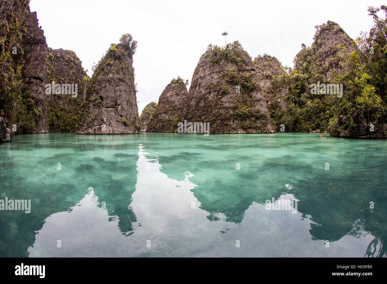 Zerklüfteten Kalksteininseln erheben sich die tropische Seenlandschaft von Raja Ampat, Indonesien. Diese Region birgt außergewöhnliche Artenvielfalt. Stockfoto