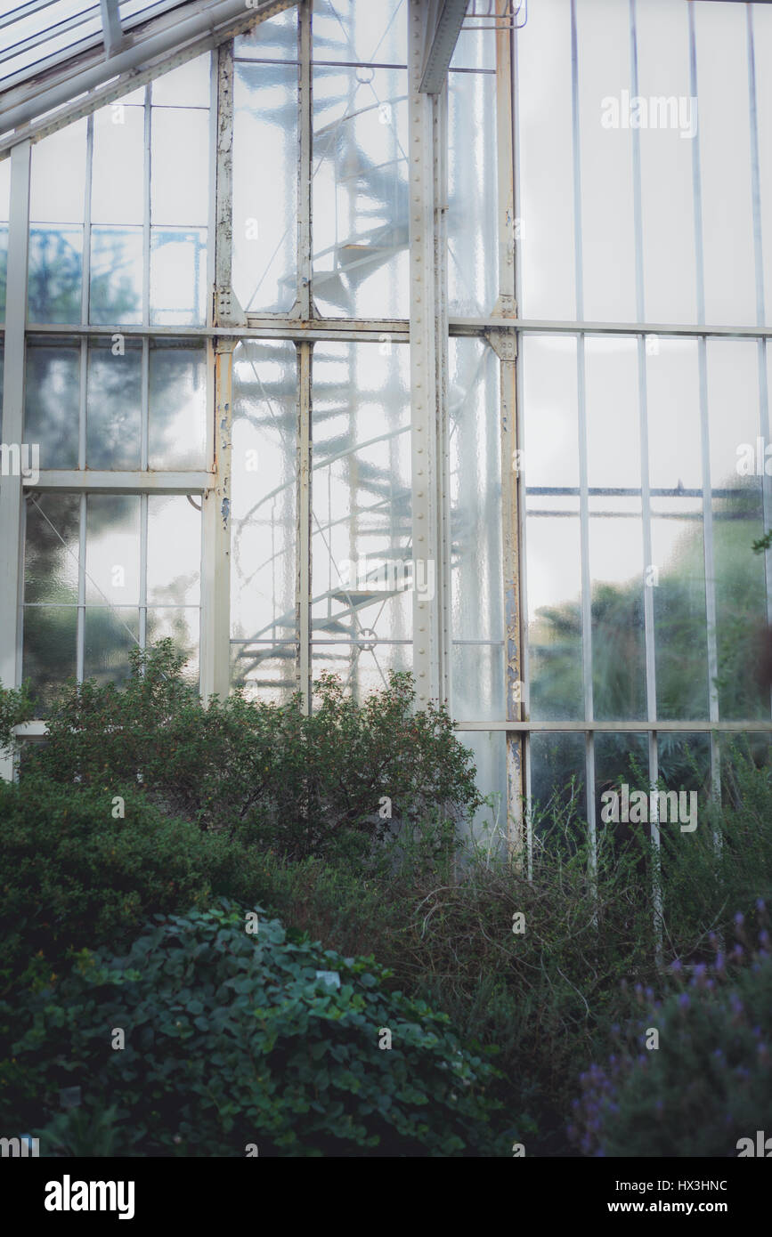 Schöne üppige Pflanzenwelt im Botanischen Garten in Berlin, Deutschland zu finden. Stockfoto