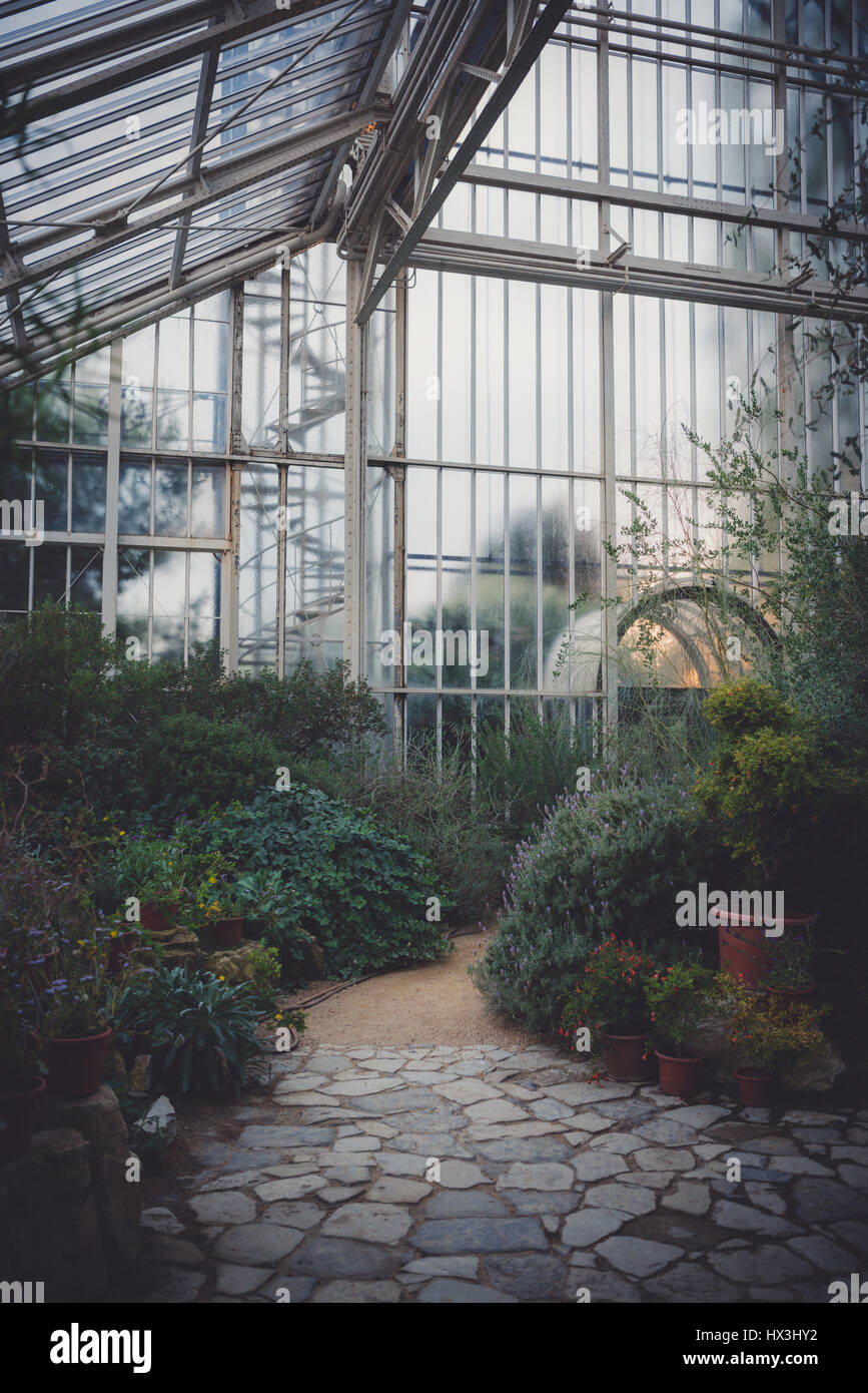 Schöne üppige Pflanzenwelt im Botanischen Garten in Berlin, Deutschland zu finden. Stockfoto