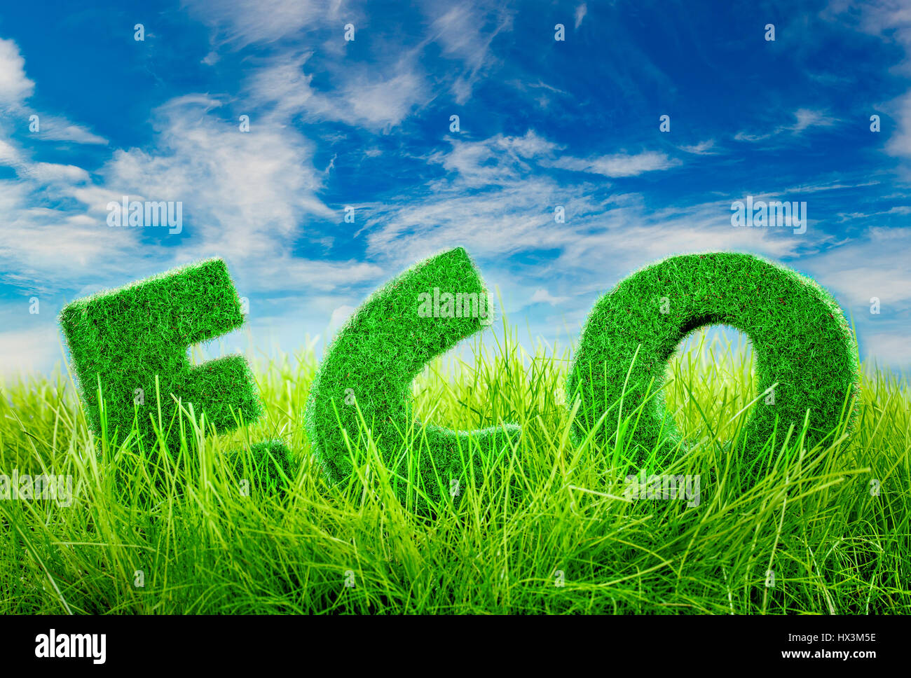 Buchstaben auf dem grünen Rasen auf blauen Himmelshintergrund. Eco-Konzept. Stockfoto
