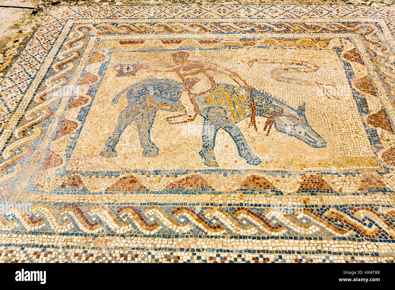 Volubilis, Marokko.  Mosaik im Haus des Acrobat. Stockfoto