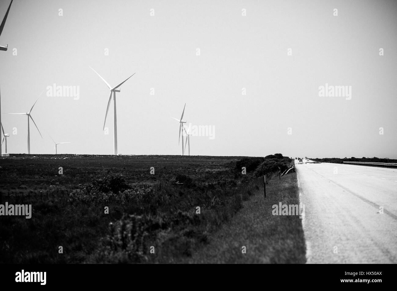 Windmühlen entlang der Garden Route in Südafrika Stockfoto