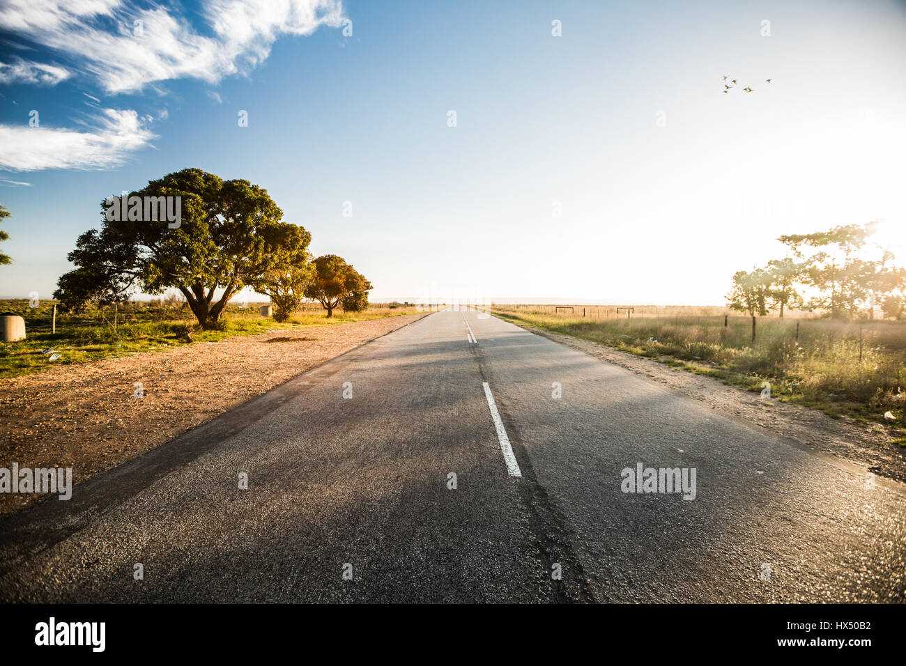 Abenddämmerung Straße Stockfoto
