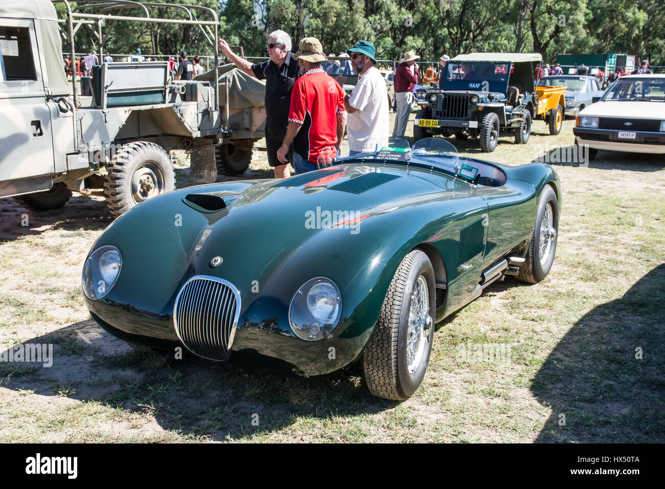 1950 s C Typ Jaguar Sportwagen auf Anzeige an einem open air Car Show, Kootingal NSW Australien. Stockfoto