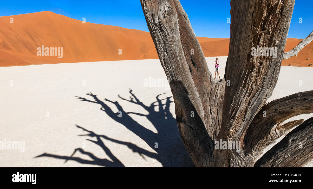 Frau steht in der Wüste zwischen Ästen toter Baum. Stockfoto