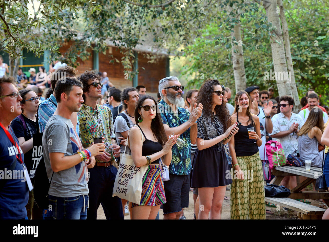 BARCELONA - 3 JUL: Menschen aus dem Publikum Uhr ein Konzert im Vida-Festival am 3. Juli 2015 in Barcelona, Spanien. Stockfoto