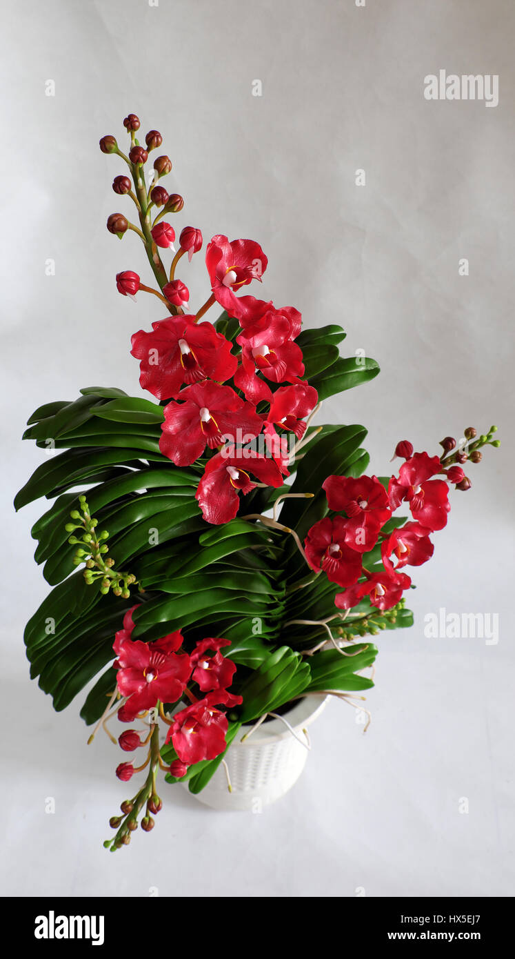 Eleganz handgefertigtes Produkt aus Lehm Kunst, Vanda Orchidee Topf auf weißem Hintergrund, schöne Blume für Wohnkultur mit rote Blütenblatt, grüne Blatt aus Ton Stockfoto